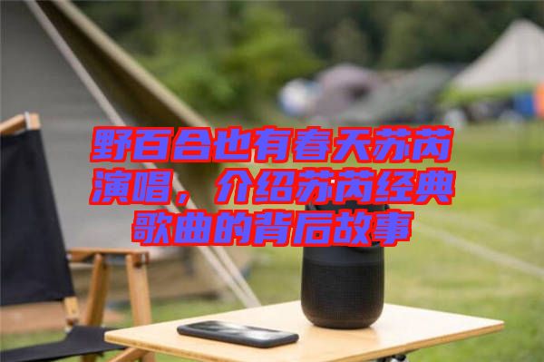 野百合也有春天蘇芮演唱，介紹蘇芮經(jīng)典歌曲的背后故事