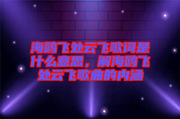 海鷗飛處云飛歌詞是什么意思，解海鷗飛處云飛歌曲的內涵
