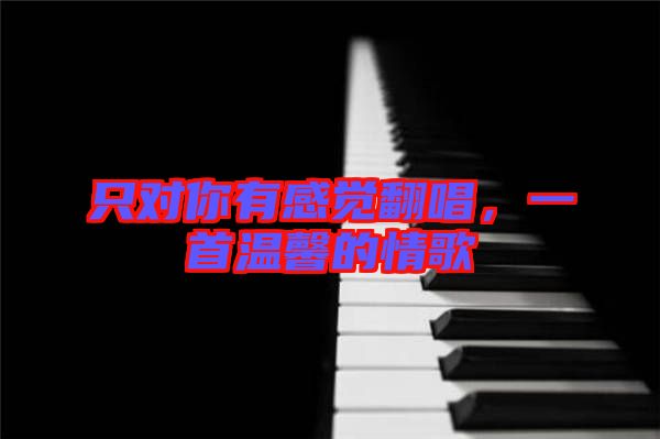 只對(duì)你有感覺(jué)翻唱，一首溫馨的情歌