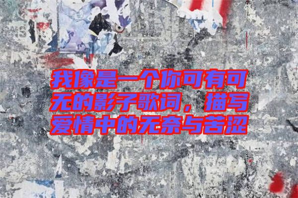 我像是一個(gè)你可有可無(wú)的影子歌詞，描寫(xiě)愛(ài)情中的無(wú)奈與苦澀