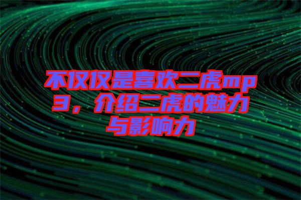 不僅僅是喜歡二虎mp3，介紹二虎的魅力與影響力