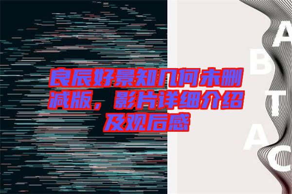 良辰好景知幾何未刪減版，影片詳細(xì)介紹及觀后感