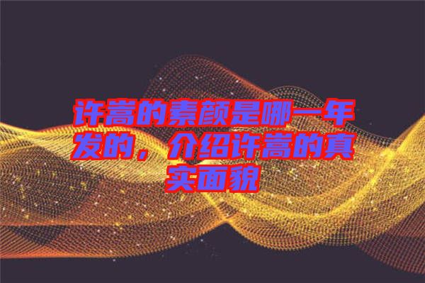 許嵩的素顏是哪一年發(fā)的，介紹許嵩的真實(shí)面貌