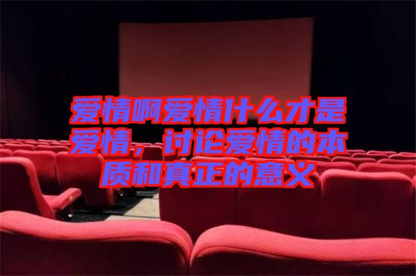 愛(ài)情啊愛(ài)情什么才是愛(ài)情，討論愛(ài)情的本質(zhì)和真正的意義