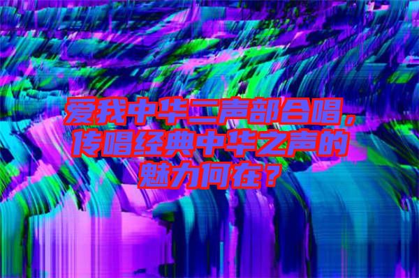 愛我中華二聲部合唱，傳唱經(jīng)典中華之聲的魅力何在？