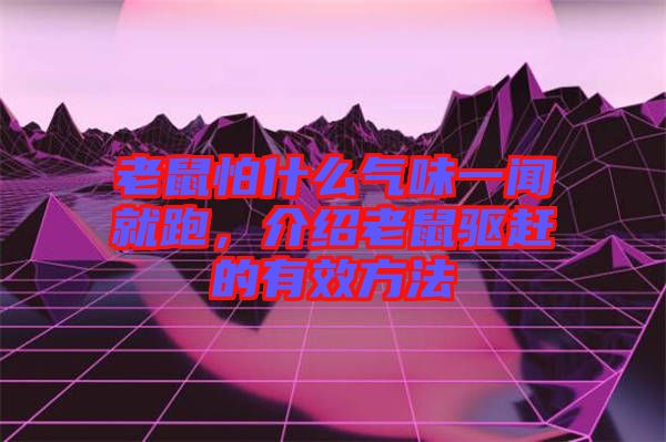 老鼠怕什么氣味一聞就跑，介紹老鼠驅(qū)趕的有效方法