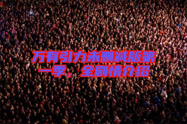 萬有引力未刪減版第一季，全劇情介紹