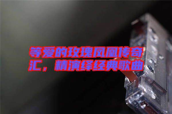 等愛(ài)的玫瑰鳳凰傳奇匯，精演繹經(jīng)典歌曲