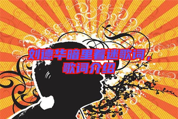 劉德華暗里著迷歌詞，歌詞介紹