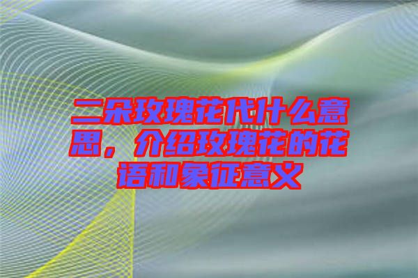 二朵玫瑰花代什么意思，介紹玫瑰花的花語和象征意義