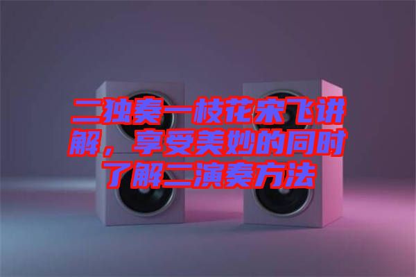 二獨奏一枝花宋飛講解，享受美妙的同時了解二演奏方法