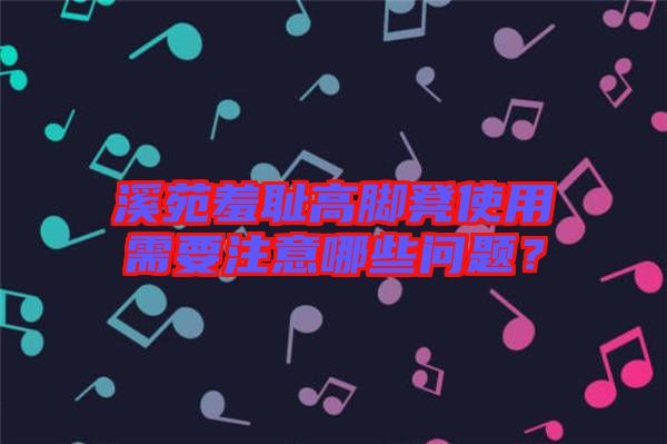 溪苑羞恥高腳凳使用需要注意哪些問題？