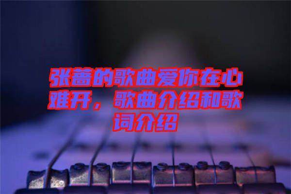 張薔的歌曲愛(ài)你在心難開，歌曲介紹和歌詞介紹