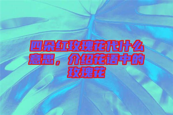 四朵紅玫瑰花代什么意思，介紹花語(yǔ)中的玫瑰花
