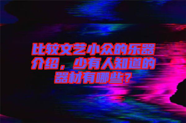 比較文藝小眾的樂(lè)器介紹，少有人知道的器材有哪些？