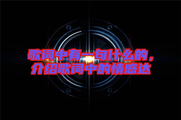 歌詞中有一句什么的，介紹歌詞中的情感達