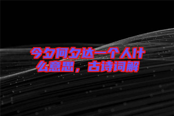 今夕何夕達(dá)一個(gè)人什么意思，古詩詞解
