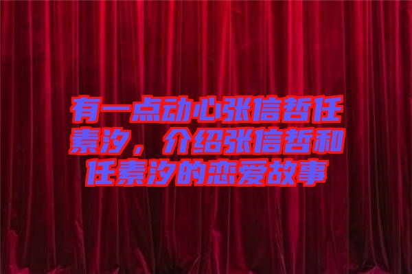 有一點動心張信哲任素汐，介紹張信哲和任素汐的戀愛故事