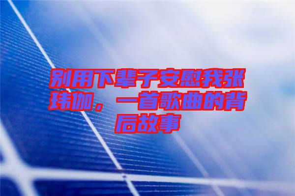 別用下輩子安慰我張瑋伽，一首歌曲的背后故事