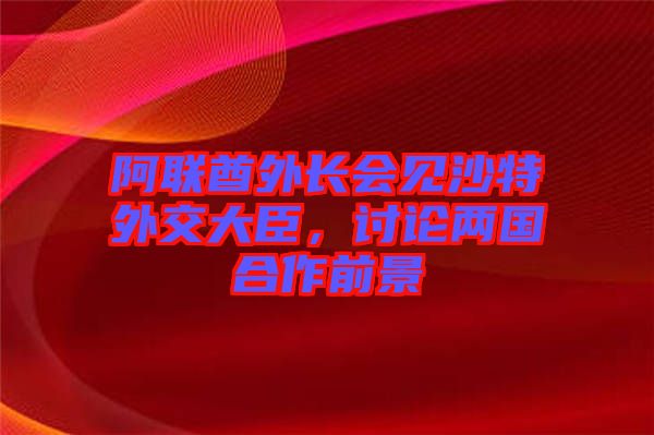 阿聯(lián)酋外長會(huì)見沙特外交大臣，討論兩國合作前景