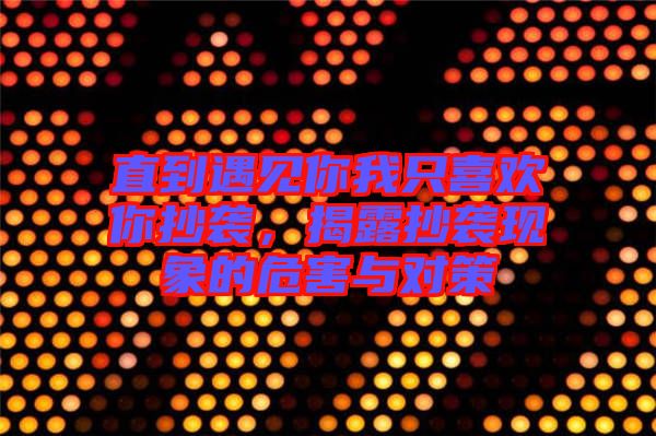 直到遇見你我只喜歡你抄襲，揭露抄襲現象的危害與對策