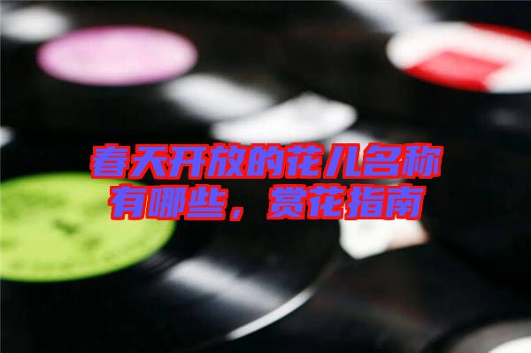 春天開放的花兒名稱有哪些，賞花指南