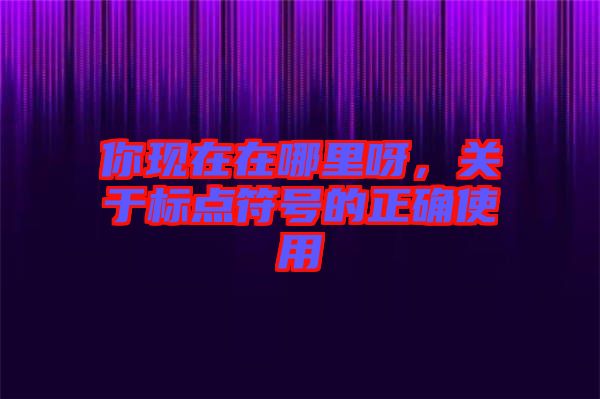 你現(xiàn)在在哪里呀，關(guān)于標(biāo)點(diǎn)符號(hào)的正確使用