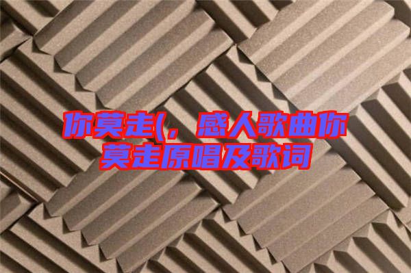 你莫走(，感人歌曲你莫走原唱及歌詞