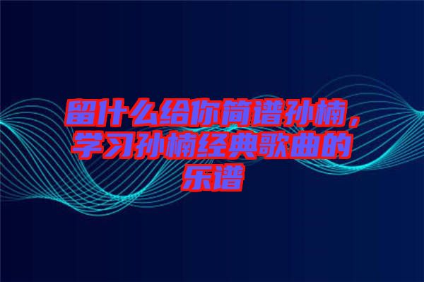 留什么給你簡(jiǎn)譜孫楠，學(xué)習(xí)孫楠經(jīng)典歌曲的樂(lè)譜