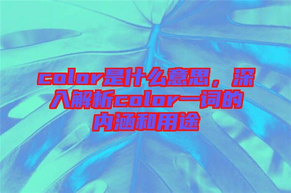 color是什么意思，深入解析color一詞的內(nèi)涵和用途