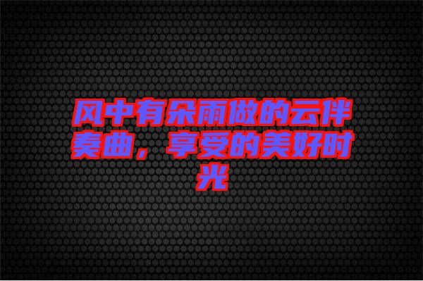 風(fēng)中有朵雨做的云伴奏曲，享受的美好時(shí)光