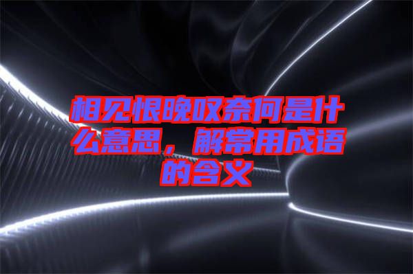 相見恨晚嘆奈何是什么意思，解常用成語的含義