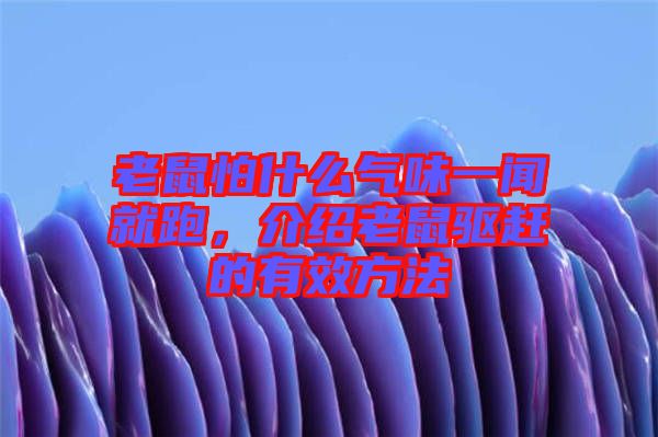 老鼠怕什么氣味一聞就跑，介紹老鼠驅(qū)趕的有效方法