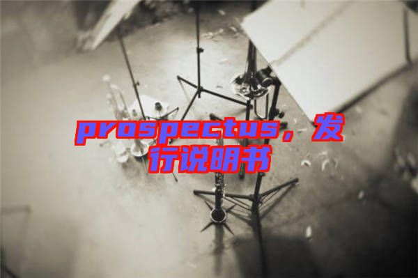 prospectus，發(fā)行說明書