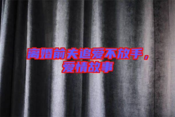 離婚前夫追愛不放手，愛情故事