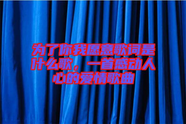 為了你我愿意歌詞是什么歌，一首感動(dòng)人心的愛(ài)情歌曲