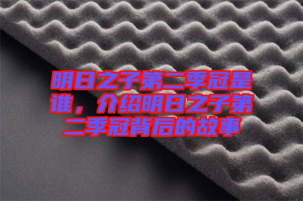 明日之子第二季冠是誰，介紹明日之子第二季冠背后的故事