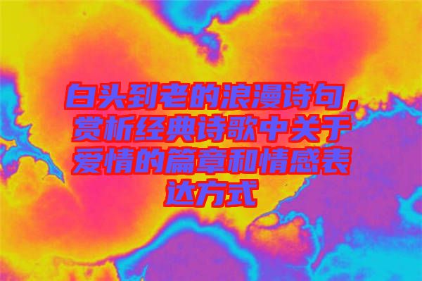 白頭到老的浪漫詩句，賞析經(jīng)典詩歌中關(guān)于愛情的篇章和情感表達(dá)方式