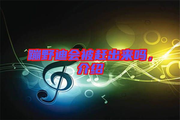 蹦野迪會(huì)被趕出來嗎，介紹