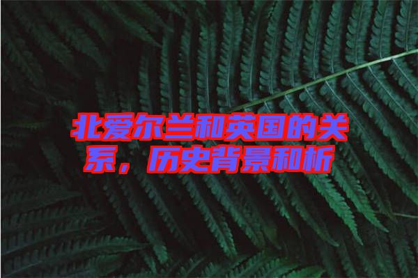 北愛(ài)爾蘭和英國(guó)的關(guān)系，歷史背景和析