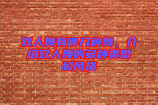 雙人舞有哪幾種舞，介紹雙人舞的多種類型和風格