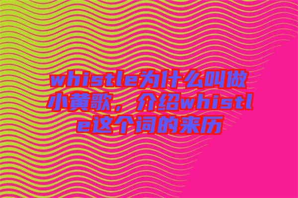 whistle為什么叫做小黃歌，介紹whistle這個詞的來歷