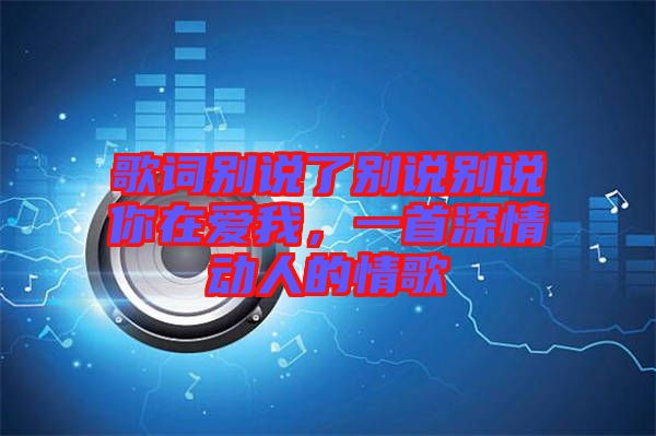 歌詞別說了別說別說你在愛我，一首深情動人的情歌