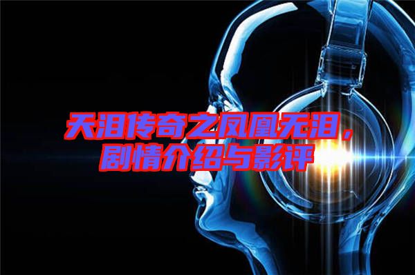 天淚傳奇之鳳凰無(wú)淚，劇情介紹與影評(píng)