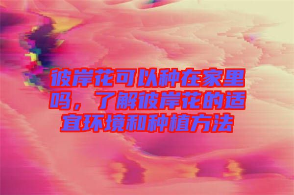彼岸花可以種在家里嗎，了解彼岸花的適宜環(huán)境和種植方法