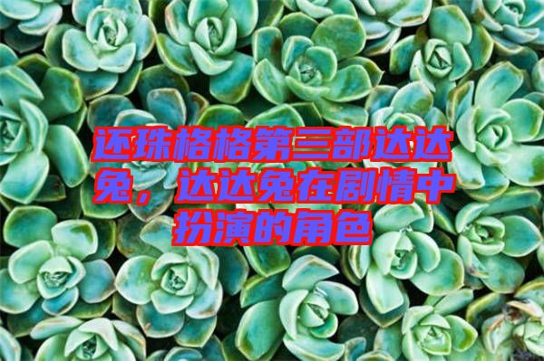 還珠格格第三部達(dá)達(dá)兔，達(dá)達(dá)兔在劇情中扮演的角色