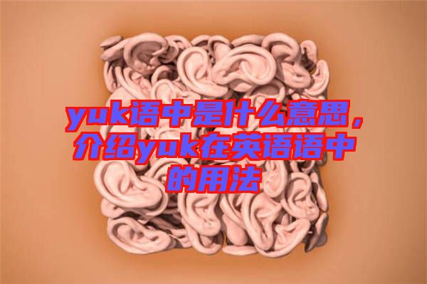 yuk語中是什么意思，介紹yuk在英語語中的用法
