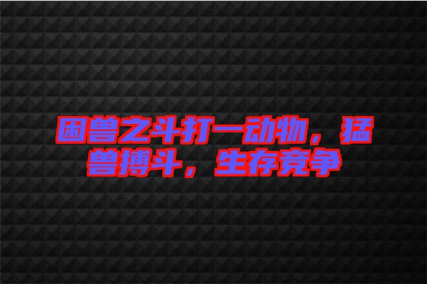 困獸之斗打一動(dòng)物，猛獸搏斗，生存競(jìng)爭(zhēng)