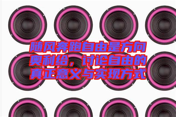 隨風(fēng)奔跑自由是方向奧利給，討論自由的真正意義與實(shí)現(xiàn)方式