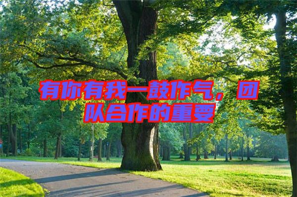 有你有我一鼓作氣，團(tuán)隊(duì)合作的重要